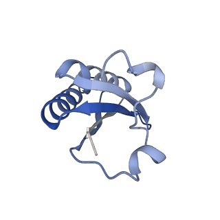 20207_6owg_EC_v1-3
Structure of a synthetic beta-carboxysome shell, T=4