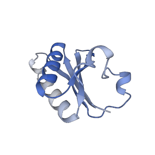 20207_6owg_ED_v1-2
Structure of a synthetic beta-carboxysome shell, T=4
