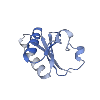 20207_6owg_ED_v1-3
Structure of a synthetic beta-carboxysome shell, T=4