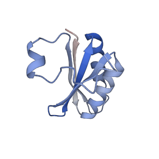 20207_6owg_EE_v1-2
Structure of a synthetic beta-carboxysome shell, T=4