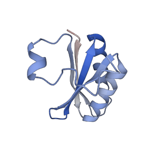 20207_6owg_EE_v1-3
Structure of a synthetic beta-carboxysome shell, T=4