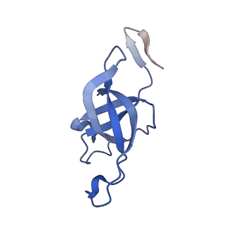 20207_6owg_EF_v1-2
Structure of a synthetic beta-carboxysome shell, T=4