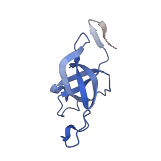 20207_6owg_EF_v1-3
Structure of a synthetic beta-carboxysome shell, T=4