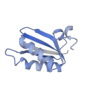 20207_6owg_EG_v1-2
Structure of a synthetic beta-carboxysome shell, T=4
