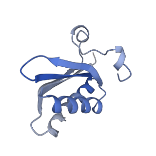 20207_6owg_EH_v1-2
Structure of a synthetic beta-carboxysome shell, T=4