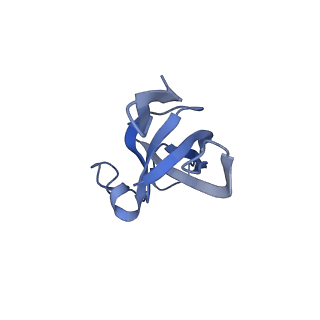 20207_6owg_EJ_v1-2
Structure of a synthetic beta-carboxysome shell, T=4