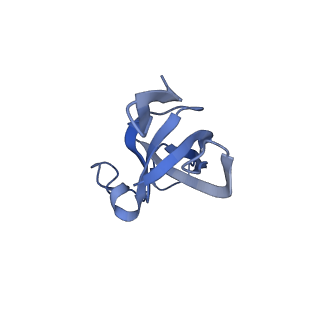 20207_6owg_EJ_v1-3
Structure of a synthetic beta-carboxysome shell, T=4