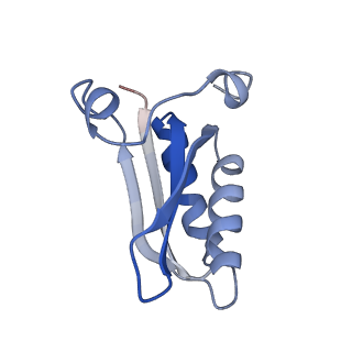 20207_6owg_EK_v1-2
Structure of a synthetic beta-carboxysome shell, T=4
