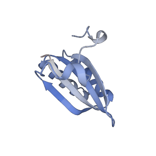 20207_6owg_EL_v1-2
Structure of a synthetic beta-carboxysome shell, T=4