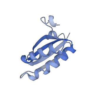 20207_6owg_EM_v1-2
Structure of a synthetic beta-carboxysome shell, T=4