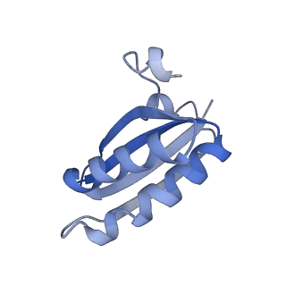 20207_6owg_EM_v1-3
Structure of a synthetic beta-carboxysome shell, T=4