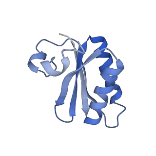 20207_6owg_EO_v1-2
Structure of a synthetic beta-carboxysome shell, T=4