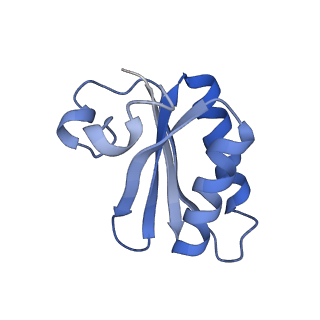 20207_6owg_EO_v1-3
Structure of a synthetic beta-carboxysome shell, T=4