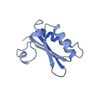 20207_6owg_EP_v1-2
Structure of a synthetic beta-carboxysome shell, T=4