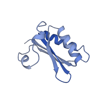 20207_6owg_EP_v1-3
Structure of a synthetic beta-carboxysome shell, T=4