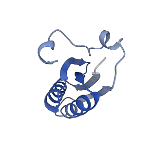 20207_6owg_EQ_v1-3
Structure of a synthetic beta-carboxysome shell, T=4