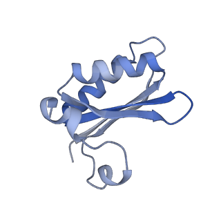 20207_6owg_ES_v1-2
Structure of a synthetic beta-carboxysome shell, T=4
