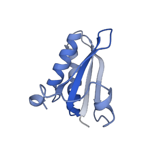 20207_6owg_ET_v1-3
Structure of a synthetic beta-carboxysome shell, T=4