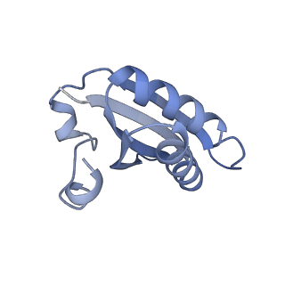 20207_6owg_EU_v1-2
Structure of a synthetic beta-carboxysome shell, T=4