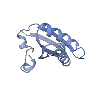 20207_6owg_EU_v1-3
Structure of a synthetic beta-carboxysome shell, T=4