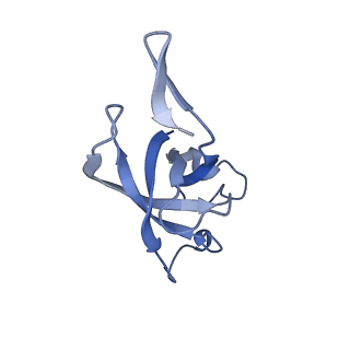20207_6owg_EV_v1-2
Structure of a synthetic beta-carboxysome shell, T=4