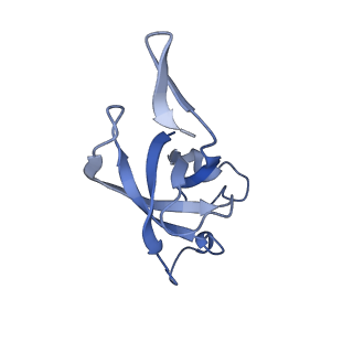 20207_6owg_EV_v1-3
Structure of a synthetic beta-carboxysome shell, T=4