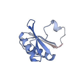 20207_6owg_EW_v1-2
Structure of a synthetic beta-carboxysome shell, T=4