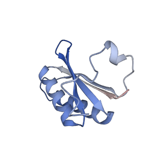 20207_6owg_EW_v1-3
Structure of a synthetic beta-carboxysome shell, T=4