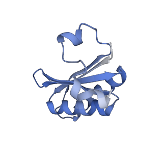 20207_6owg_EX_v1-2
Structure of a synthetic beta-carboxysome shell, T=4