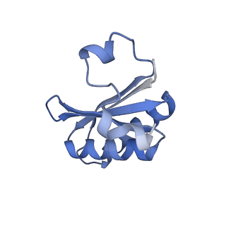 20207_6owg_EX_v1-3
Structure of a synthetic beta-carboxysome shell, T=4