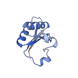 20207_6owg_EY_v1-2
Structure of a synthetic beta-carboxysome shell, T=4