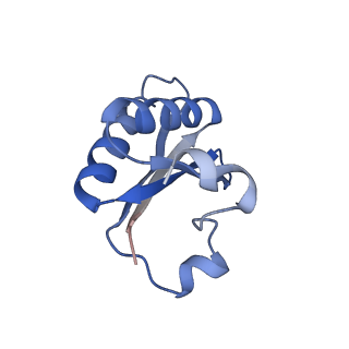 20207_6owg_EY_v1-3
Structure of a synthetic beta-carboxysome shell, T=4