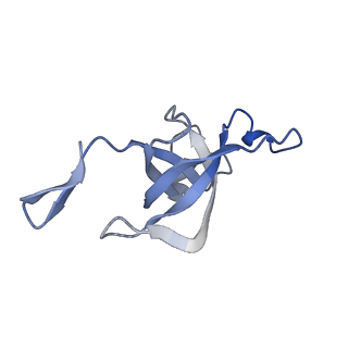 20207_6owg_EZ_v1-2
Structure of a synthetic beta-carboxysome shell, T=4