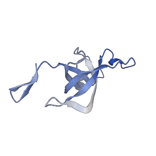 20207_6owg_EZ_v1-3
Structure of a synthetic beta-carboxysome shell, T=4