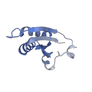 20207_6owg_E_v1-2
Structure of a synthetic beta-carboxysome shell, T=4