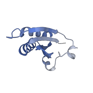 20207_6owg_E_v1-3
Structure of a synthetic beta-carboxysome shell, T=4