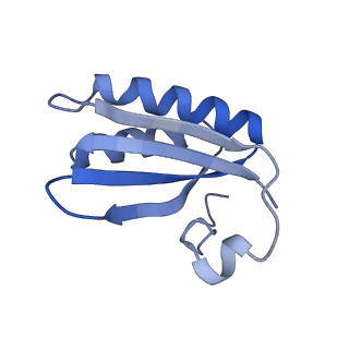 20207_6owg_F_v1-2
Structure of a synthetic beta-carboxysome shell, T=4