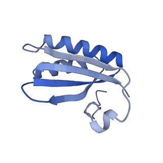 20207_6owg_F_v1-3
Structure of a synthetic beta-carboxysome shell, T=4