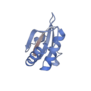20207_6owg_G_v1-2
Structure of a synthetic beta-carboxysome shell, T=4