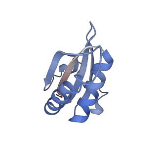 20207_6owg_G_v1-3
Structure of a synthetic beta-carboxysome shell, T=4