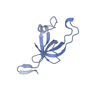 20207_6owg_H_v1-2
Structure of a synthetic beta-carboxysome shell, T=4
