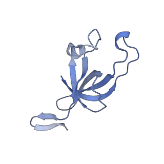 20207_6owg_H_v1-3
Structure of a synthetic beta-carboxysome shell, T=4