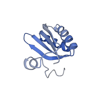 20207_6owg_I_v1-2
Structure of a synthetic beta-carboxysome shell, T=4