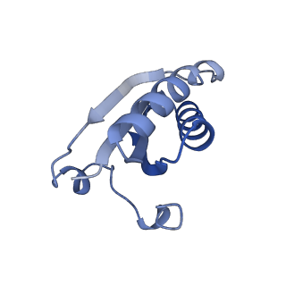 20207_6owg_J_v1-2
Structure of a synthetic beta-carboxysome shell, T=4