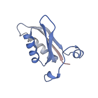 20207_6owg_K_v1-2
Structure of a synthetic beta-carboxysome shell, T=4