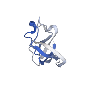 20207_6owg_L_v1-2
Structure of a synthetic beta-carboxysome shell, T=4