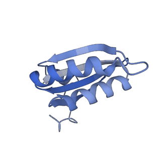 20207_6owg_M_v1-2
Structure of a synthetic beta-carboxysome shell, T=4