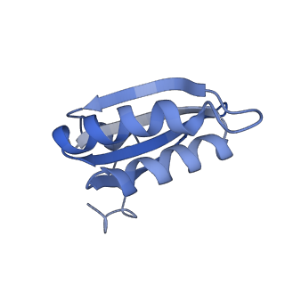 20207_6owg_M_v1-3
Structure of a synthetic beta-carboxysome shell, T=4