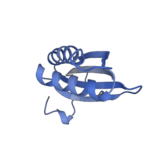 20207_6owg_N_v1-2
Structure of a synthetic beta-carboxysome shell, T=4