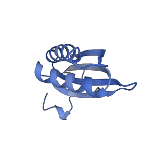 20207_6owg_N_v1-3
Structure of a synthetic beta-carboxysome shell, T=4